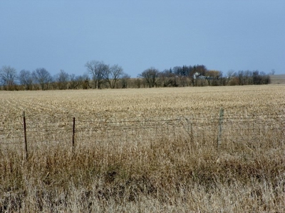 Farm Land Sealed Bid Auction -6 miles east of North English - image 2