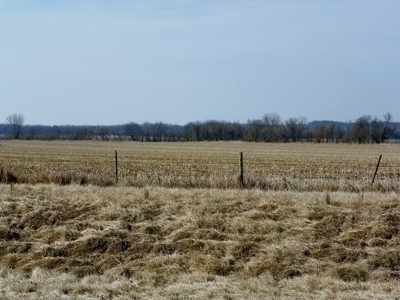 Farm Land Sealed Bid Auction -6 miles east of North English - image 3