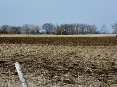 Farm Land Sealed Bid Auction -6 miles east of North English - image 1