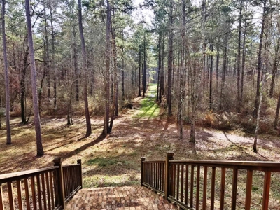 Cabin Waterfront Land for Sale Summit, Pike County, SW MS - image 5