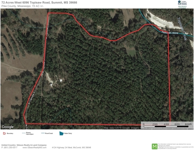 Cabin Waterfront Land for Sale Summit, Pike County, SW MS - image 29