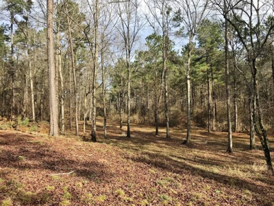 Cabin Waterfront Land for Sale Summit, Pike County, SW MS - image 22