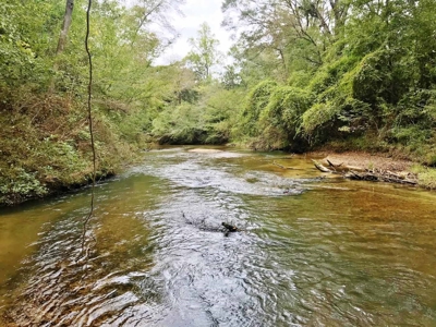 Cabin Waterfront Land for Sale Summit, Pike County, SW MS - image 6