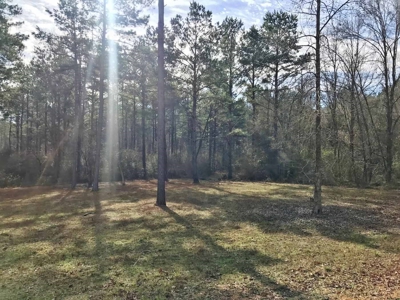 Cabin Waterfront Land for Sale Summit, Pike County, SW MS - image 23