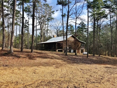Cabin Waterfront Land for Sale Summit, Pike County, SW MS - image 24