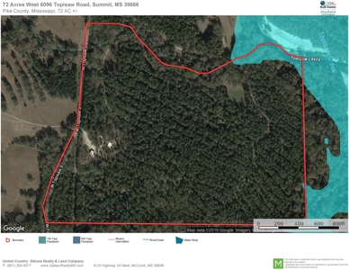 Cabin Waterfront Land for Sale Summit, Pike County, SW MS - image 30