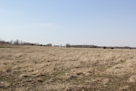 Augusta, KS Horse & Hobby Farm Selling at Auction - image 41