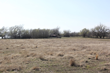 Augusta, KS Horse & Hobby Farm Selling at Auction - image 40
