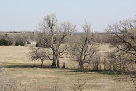 Augusta, KS Horse & Hobby Farm Selling at Auction - image 25