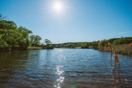 377 Acre Live Water Wade Hollow Ranch - Kerrville TX - image 1