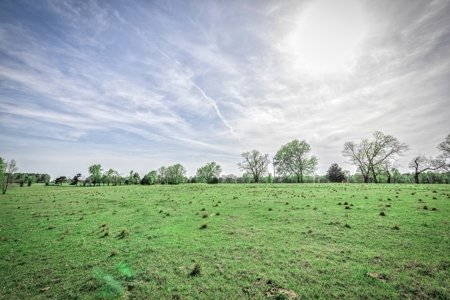 Equestrian Property in Clark County, AR near Arkadelphia - image 27