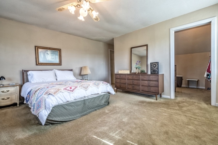 Equestrian Property in Clark County, AR near Arkadelphia - image 17