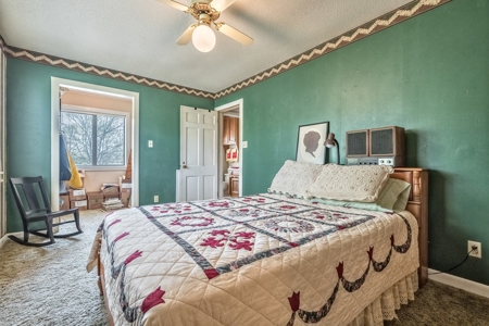 Equestrian Property in Clark County, AR near Arkadelphia - image 16