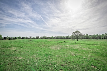 Equestrian Property in Clark County, AR near Arkadelphia - image 28