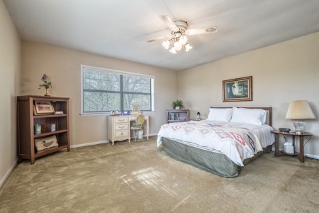 Equestrian Property in Clark County, AR near Arkadelphia - image 19