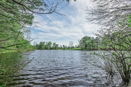 Equestrian Property in Clark County, AR near Arkadelphia - image 25