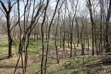 Missouri Riverfront home for Sale  Dittmer Mo 382 acres - image 36