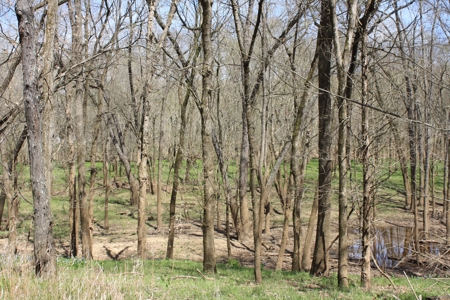 Missouri Riverfront home for Sale  Dittmer Mo 382 acres - image 41