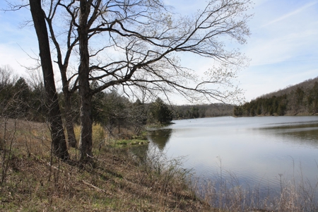 Missouri Riverfront home for Sale  Dittmer Mo 382 acres - image 40