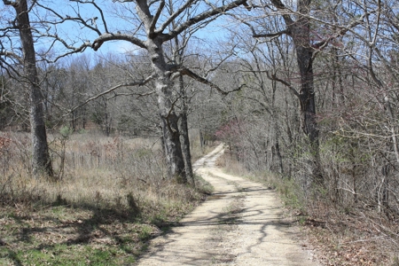 Missouri Riverfront home for Sale  Dittmer Mo 382 acres - image 34