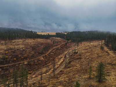 1200 Ac ~ 4 contiguous Parcels in Stevens County, WA just Minutes from Long Lake - image 35