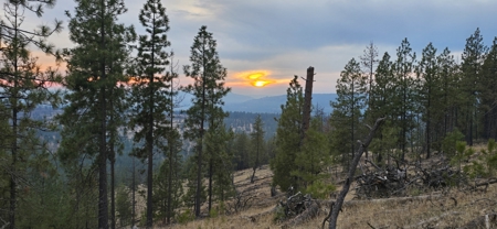 1200 Ac ~ 4 contiguous Parcels in Stevens County, WA just Minutes from Long Lake - image 10