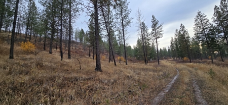 1200 Ac ~ 4 contiguous Parcels in Stevens County, WA just Minutes from Long Lake - image 17