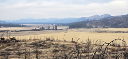 1200 Ac ~ 4 contiguous Parcels in Stevens County, WA just Minutes from Long Lake - image 3
