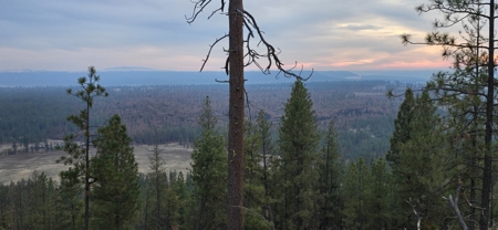 1200 Ac ~ 4 contiguous Parcels in Stevens County, WA just Minutes from Long Lake - image 1