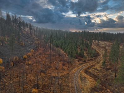 1200 Ac ~ 4 contiguous Parcels in Stevens County, WA just Minutes from Long Lake - image 37
