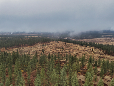 1200 Ac ~ 4 contiguous Parcels in Stevens County, WA just Minutes from Long Lake - image 36