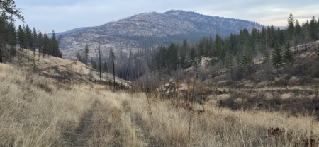 1200 Ac ~ 4 contiguous Parcels in Stevens County, WA just Minutes from Long Lake - image 4