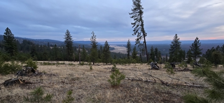 1200 Ac ~ 4 contiguous Parcels in Stevens County, WA just Minutes from Long Lake - image 7