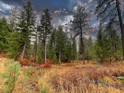 1200 Ac ~ 4 contiguous Parcels in Stevens County, WA just Minutes from Long Lake - image 21