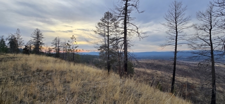 1200 Ac ~ 4 contiguous Parcels in Stevens County, WA just Minutes from Long Lake - image 12