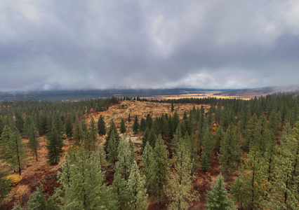1200 Ac ~ 4 contiguous Parcels in Stevens County, WA just Minutes from Long Lake - image 24