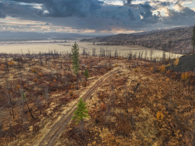 1200 Ac ~ 4 contiguous Parcels in Stevens County, WA just Minutes from Long Lake - image 26