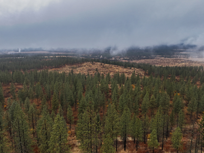 1200 Ac ~ 4 contiguous Parcels in Stevens County, WA just Minutes from Long Lake - image 33