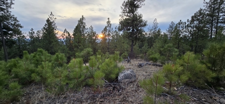 1200 Ac ~ 4 contiguous Parcels in Stevens County, WA just Minutes from Long Lake - image 13
