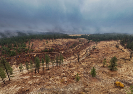 1200 Ac ~ 4 contiguous Parcels in Stevens County, WA just Minutes from Long Lake - image 32