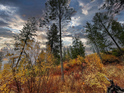 1200 Ac ~ 4 contiguous Parcels in Stevens County, WA just Minutes from Long Lake - image 30