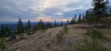 1200 Ac ~ 4 contiguous Parcels in Stevens County, WA just Minutes from Long Lake - image 8