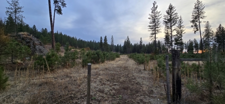 1200 Ac ~ 4 contiguous Parcels in Stevens County, WA just Minutes from Long Lake - image 5