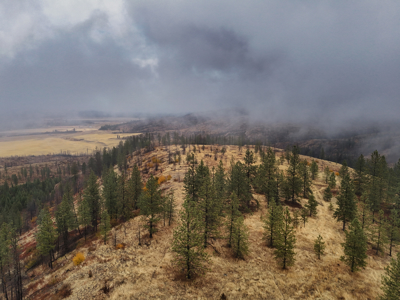 1200 Ac ~ 4 contiguous Parcels in Stevens County, WA just Minutes from Long Lake - image 31