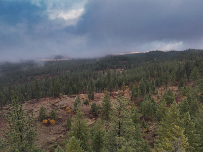 1200 Ac ~ 4 contiguous Parcels in Stevens County, WA just Minutes from Long Lake - image 29
