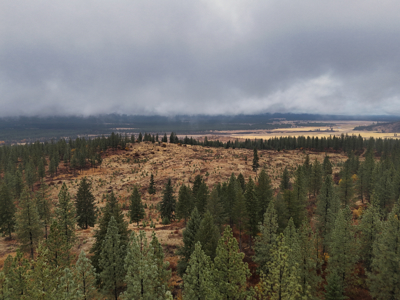 1200 Ac ~ 4 contiguous Parcels in Stevens County, WA just Minutes from Long Lake - image 34