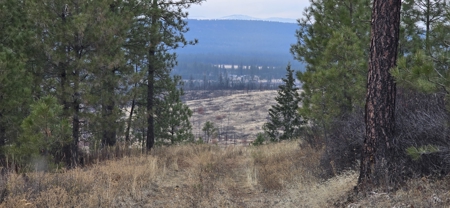 1200 Ac ~ 4 contiguous Parcels in Stevens County, WA just Minutes from Long Lake - image 15