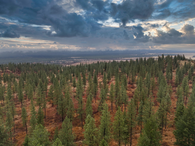 1200 Ac ~ 4 contiguous Parcels in Stevens County, WA just Minutes from Long Lake - image 23