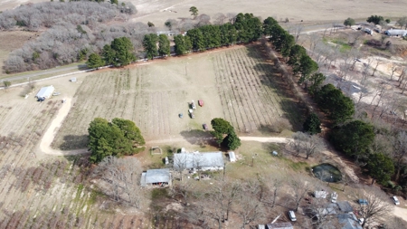 East Texas Organic Blueberry Farm for Sale Henderson County - image 18