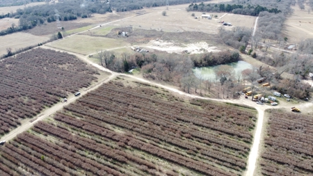 East Texas Organic Blueberry Farm for Sale Henderson County - image 15